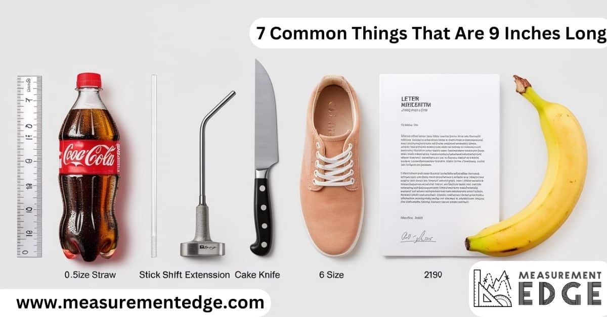 7 Common Things That Are 9 Inches Long