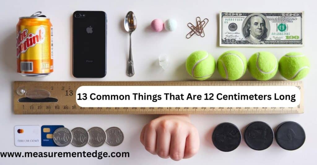 13 Common Things That Are 12 Centimeters Long