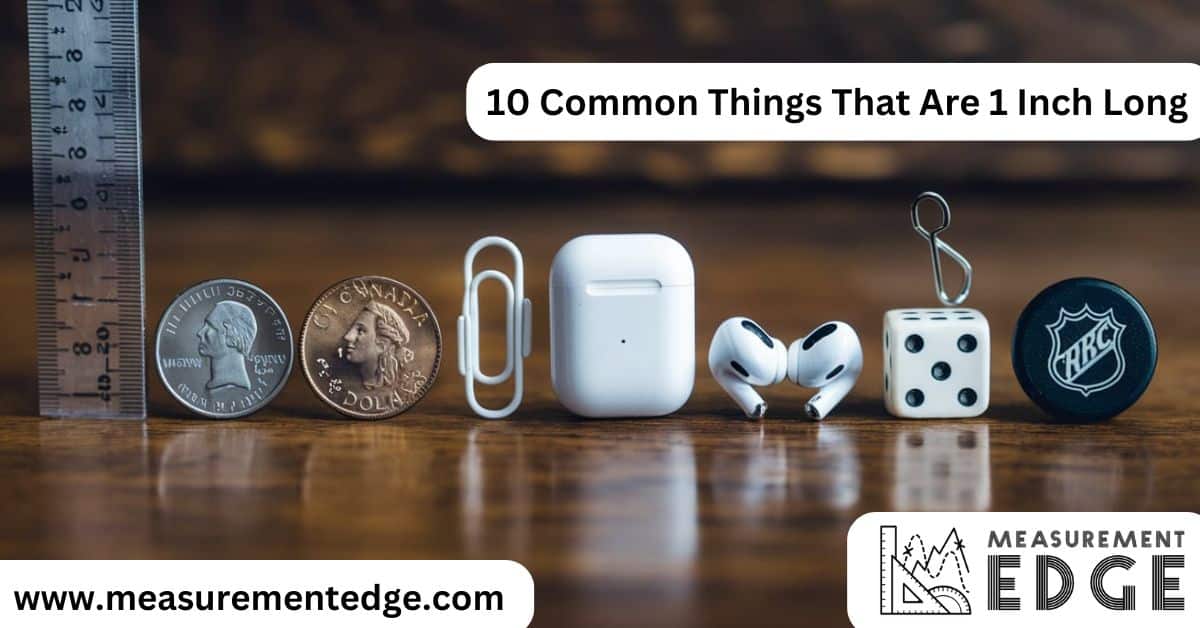 10 Common Things That Are 1 Inch Long