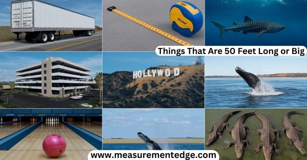 10 Things That Are 50 Feet Long or Big