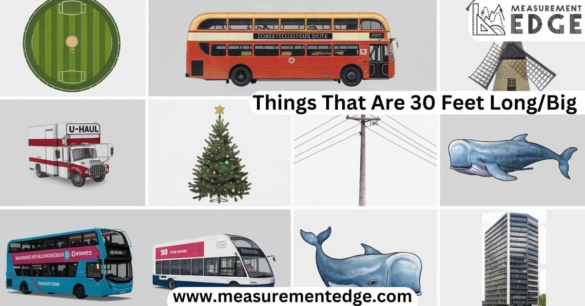 9 Things That Are 30 Feet Long/Big