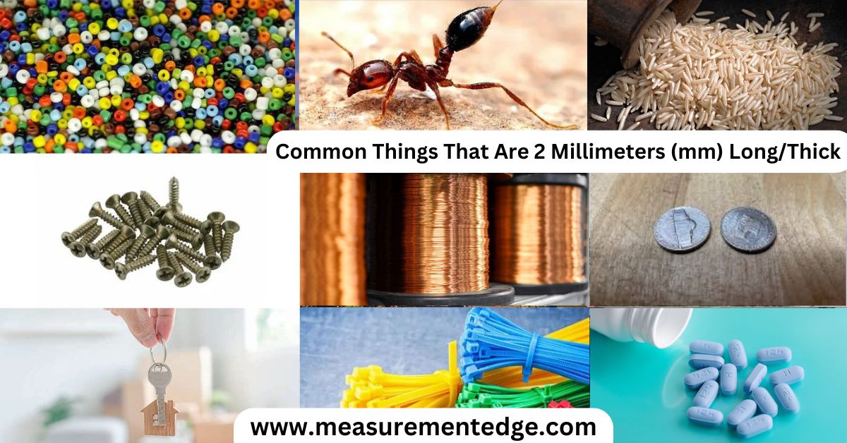 Common Things That Are 2 Millimeters (mm) Long/Thick