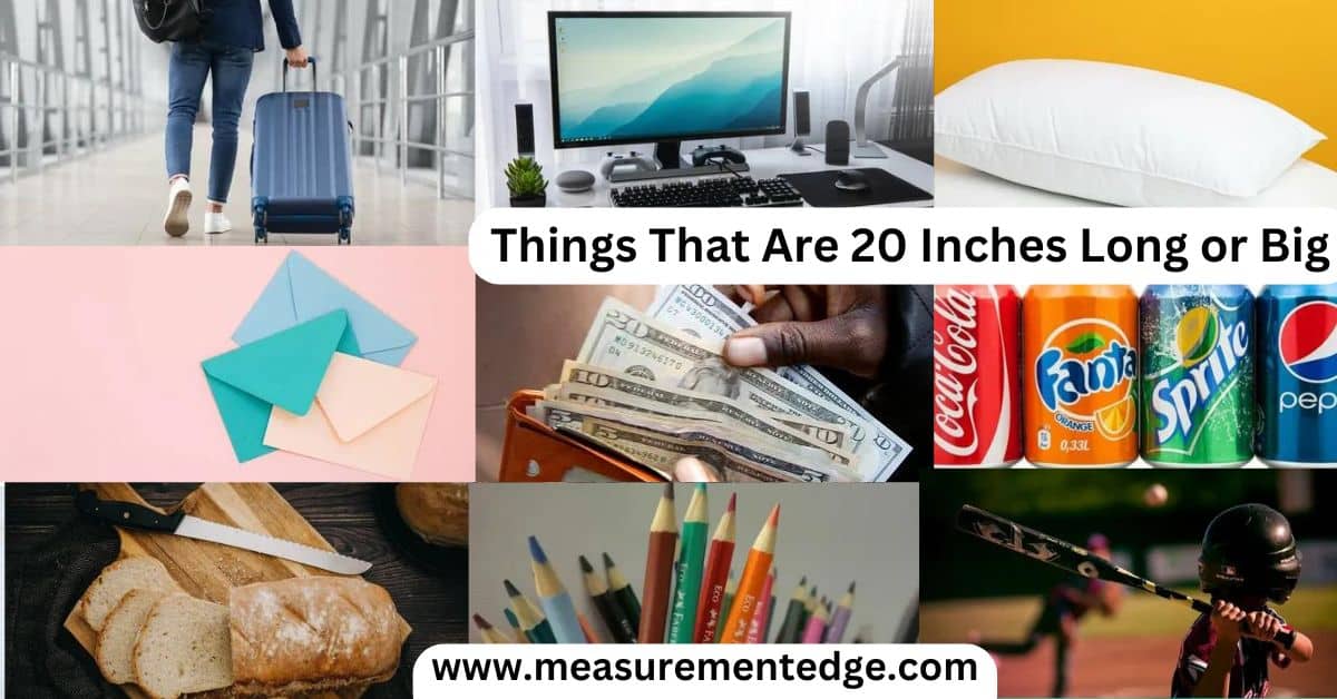 12 Things That Are 20 Inches Long or Big