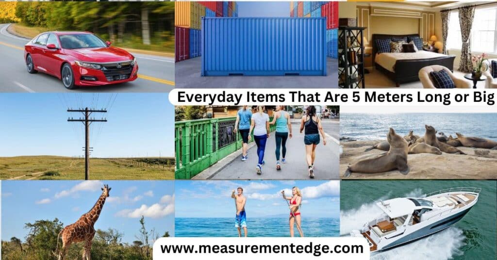 Everyday Items That Are 5 Meters Long or Big