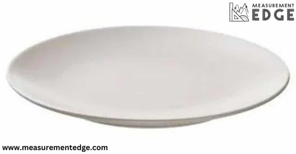 Dinner Plate