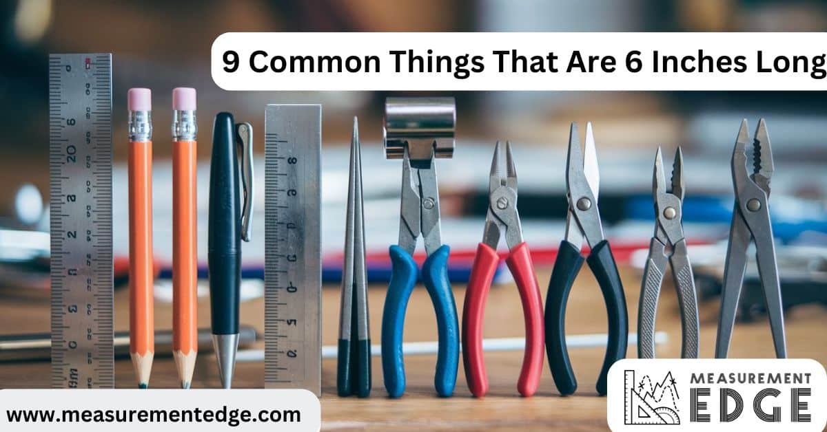 9 Common Things That Are 6 Inches Long