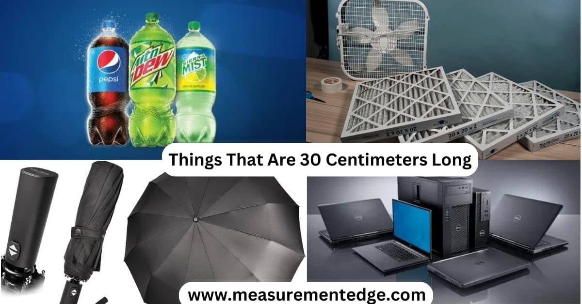 Things That Are 30 Centimeters Long