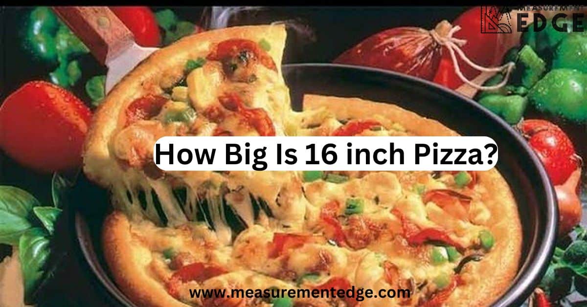 How Big Is 16 inch Pizza?