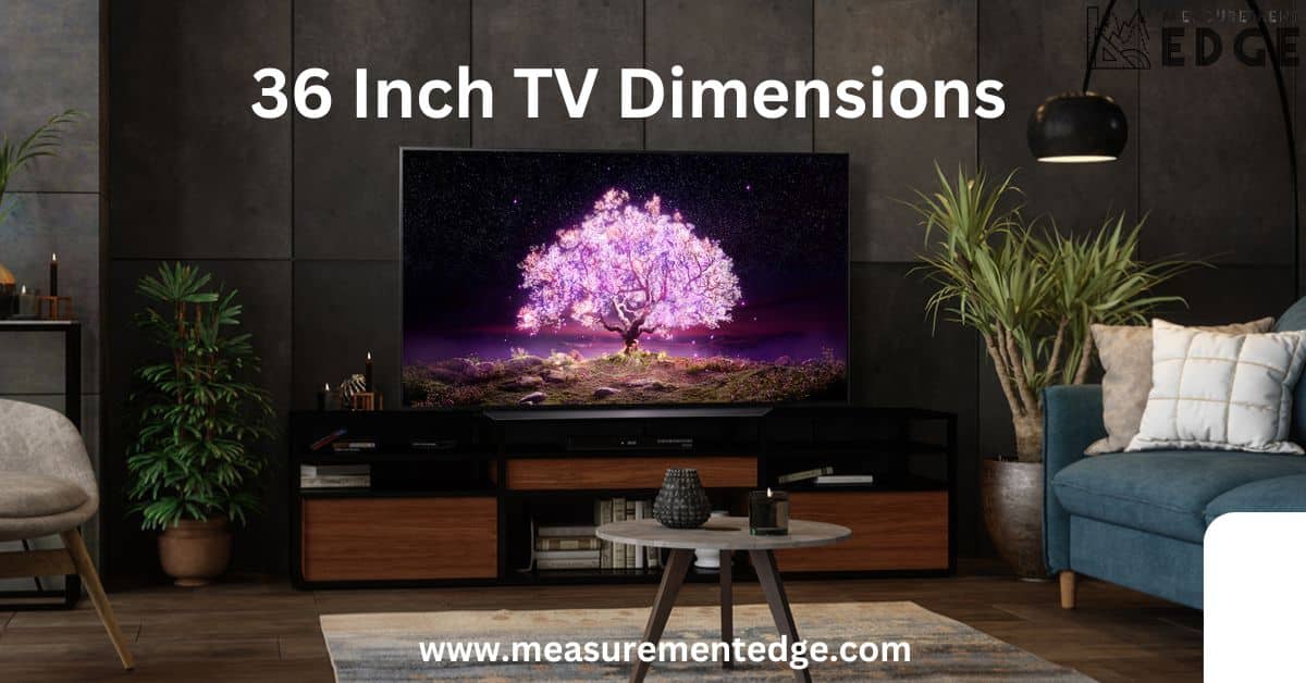 36 Inch TV Dimensions