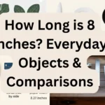 8 Inches objects